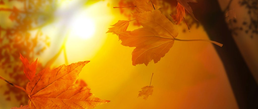 Les couleurs d'Automne 2015